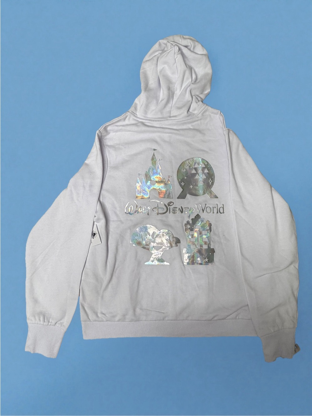 Disney Parks Walt Disney World Parks Icons Hoodie